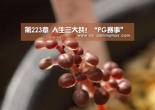 PG真人